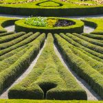 dom na kołach – wygoda, który możesz posiadać gdziekolwiek